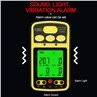 4. Gas tester